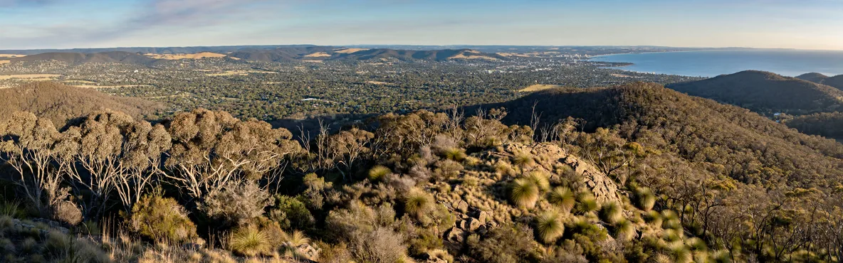 Top Things to Do in Adelaide for Nature Lovers